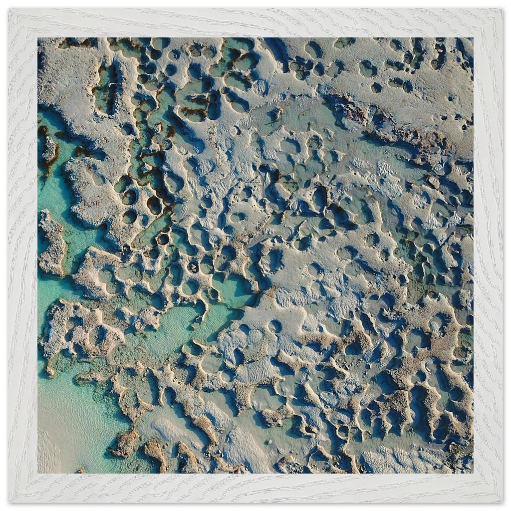 f82bdb82-e41d-4b18-9eac-83b67948d888