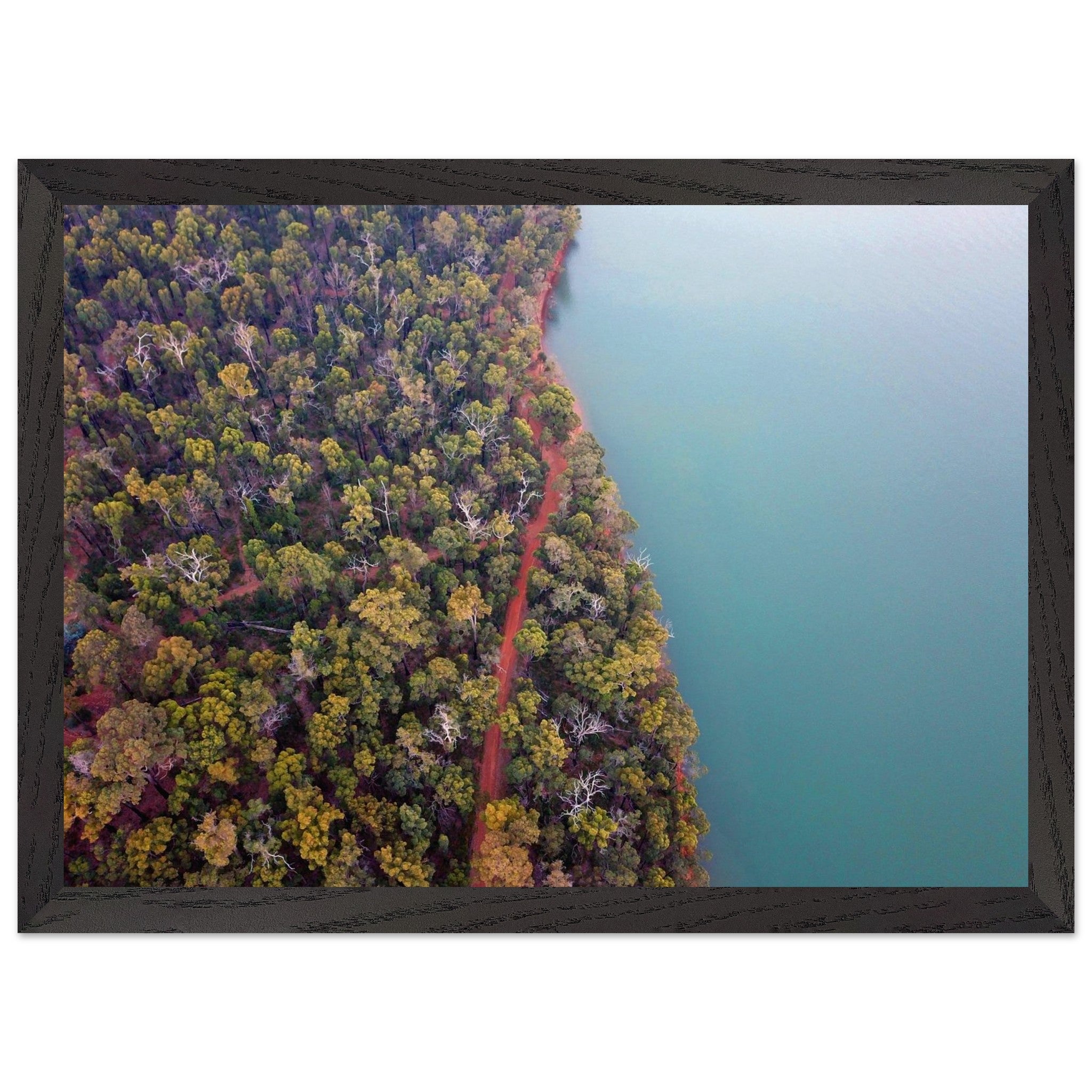 fd2913df-651b-4f05-ae11-e4164037ef2f