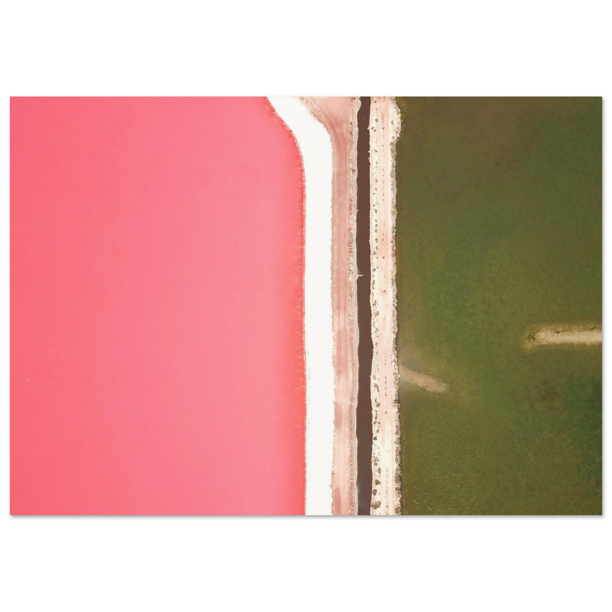 fff6329b-ead4-4936-ae68-02d1d12e90d1